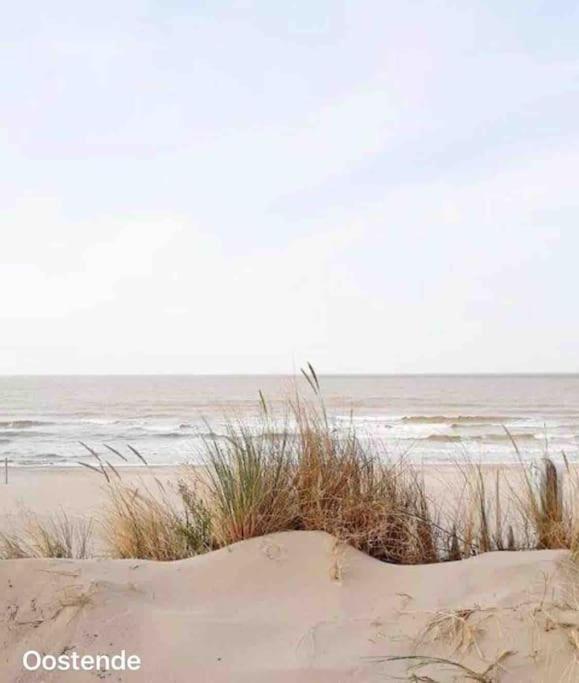 Ostend Chic, Luxe Loftstijl In Oostende Luaran gambar